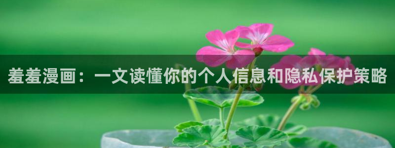 韩国漫画平台kakaopage：羞羞漫画：一文读懂你的个人信息和隐私保护策略