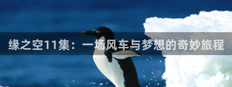 managereader漫画官网入口：缘之空11集：一场风车与梦想的奇妙旅程