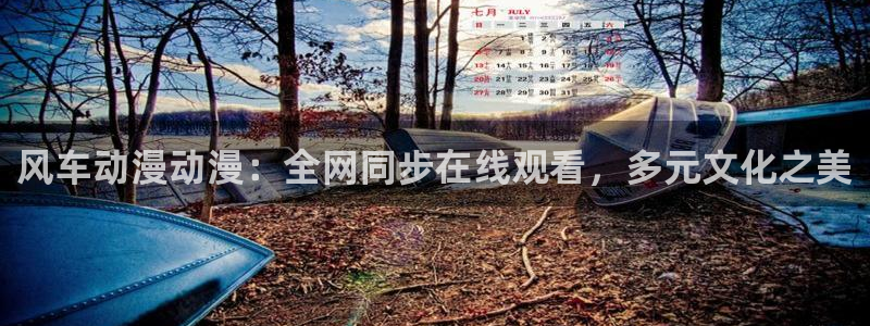 漫画之家网官网入口：风车动漫动漫：全网同步在线观看，多元文化之美