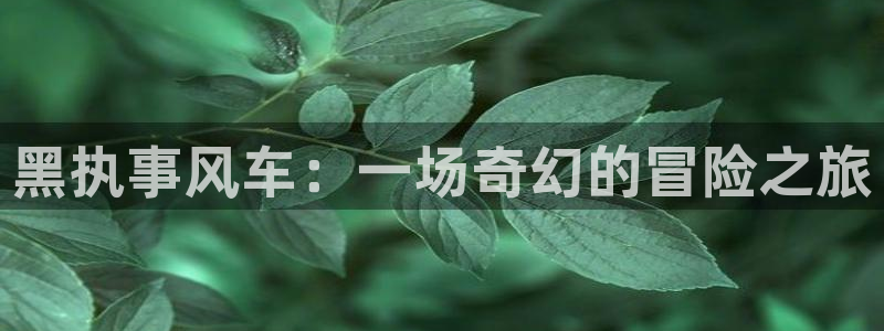 managereader漫画官网入口：黑执事风车：一场奇幻的冒险之旅