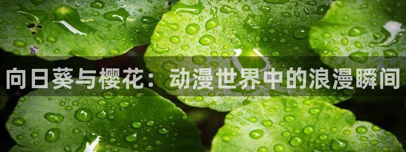 managereader漫画官网入口：向日葵与樱花：动漫世界中的浪漫瞬间