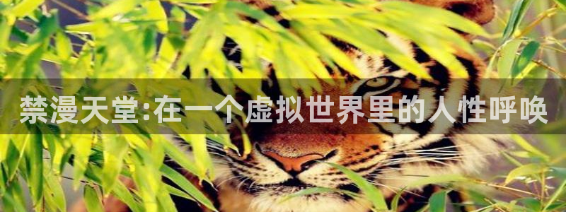 在线动画动漫下载漫画之家：禁漫天堂:在一个虚拟世界里的人性呼唤