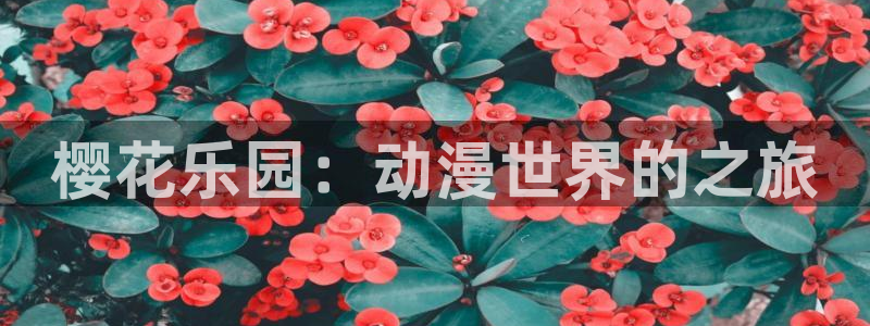 韩国漫画平台kakaopage：樱花乐园：动漫世界的之旅
