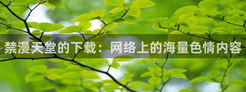 漫画之家下载网：禁漫天堂的下载：网络上的海量色情内容