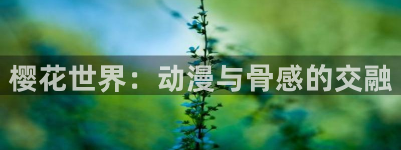 age专注动漫的门户网站：樱花世界：动漫与骨感的交融