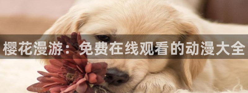 漫画之家下载网：樱花漫游：免费在线观看的动漫大全