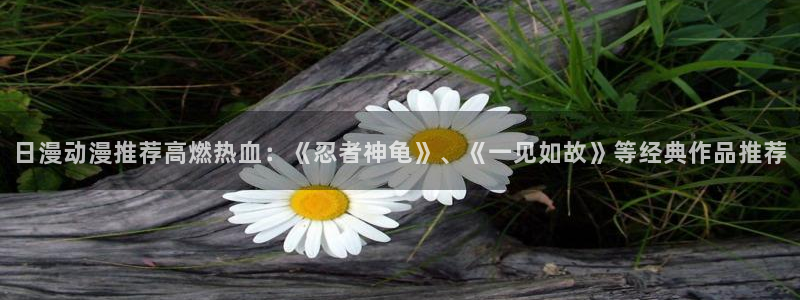 漫画之家下载网：日漫动漫推荐高燃热血：《忍者神龟》、《一见如故》等经典作品推荐