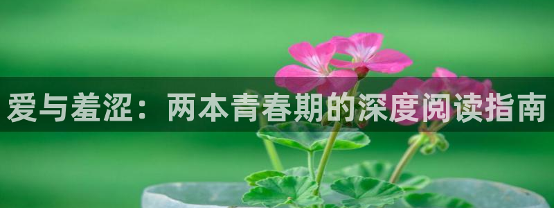 managereader漫画官网入口：爱与羞涩：两本青春期的深度阅读指南