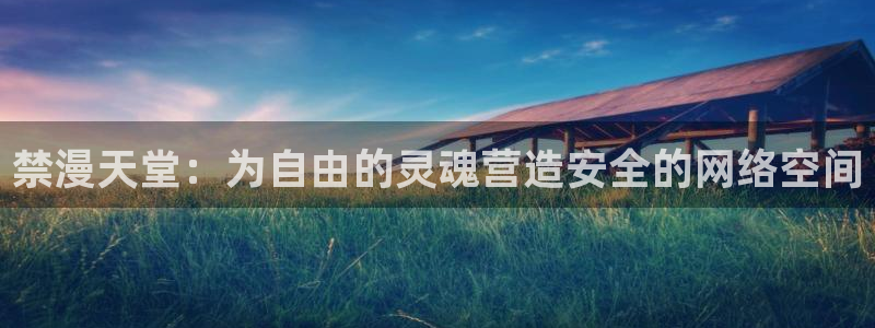 漫画之家网官网入口：禁漫天堂：为自由的灵魂营造安全的网络空间