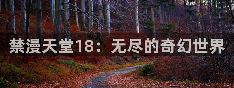 漫画之家下载网：禁漫天堂18：无尽的奇幻世界