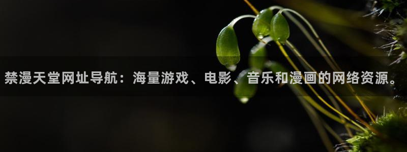 漫画之家官网网址：禁漫天堂网址导航：海量游戏、电影、音乐和漫画的网络资源。
