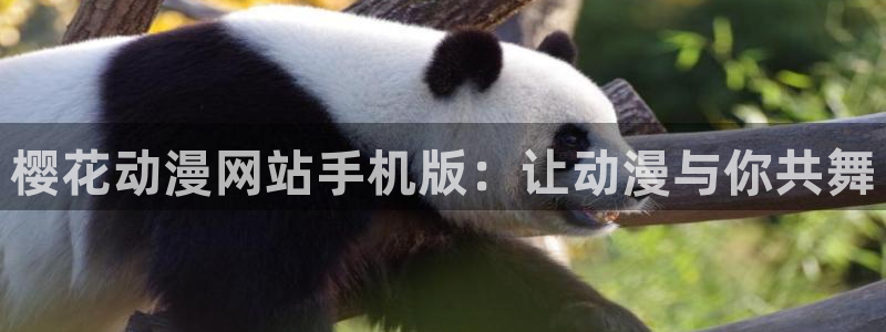 漫画之家专注动漫的门户网站：樱花动漫网站手机版：让动漫与你共舞