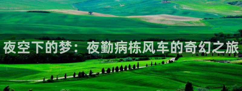 漫画之家网：夜空下的梦：夜勤病栋风车的奇幻之旅