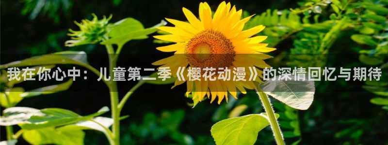 managereader漫画官网入口：我在你心中：儿童第二季《樱花动漫》的深情回忆与期待