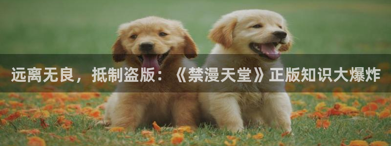 stagenehind韩漫免费观看：远离无良，抵制盗版：《禁漫天堂》正版知识大爆炸