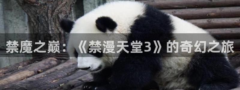 stagenehind韩漫免费观看：禁魔之巅：《禁漫天堂3》的奇幻之旅