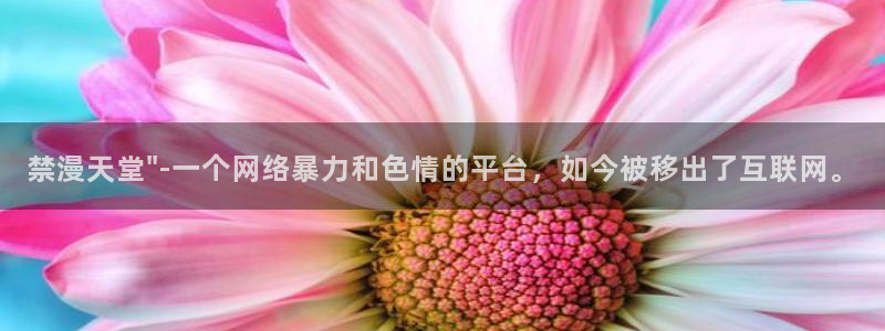 stagenehind韩漫免费观看：禁漫天堂\