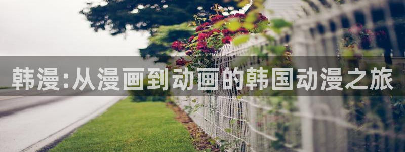 managereader漫画官网入口：韩漫:从漫画到动画的韩国动漫之旅